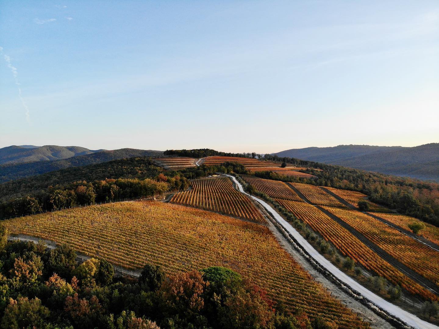 Tenuta Sette Cieli