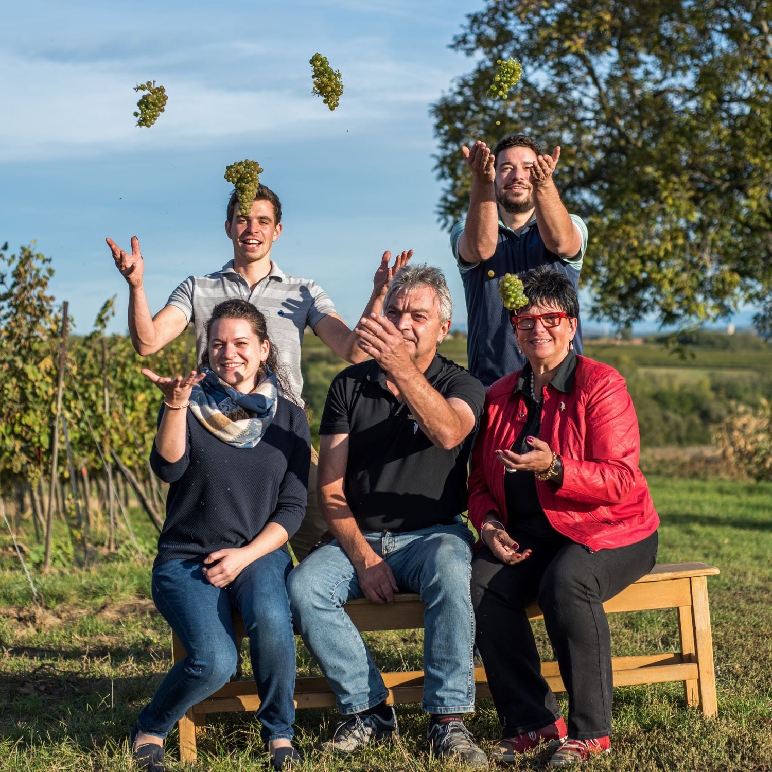 WEINGUT TAUBENSCHUSS