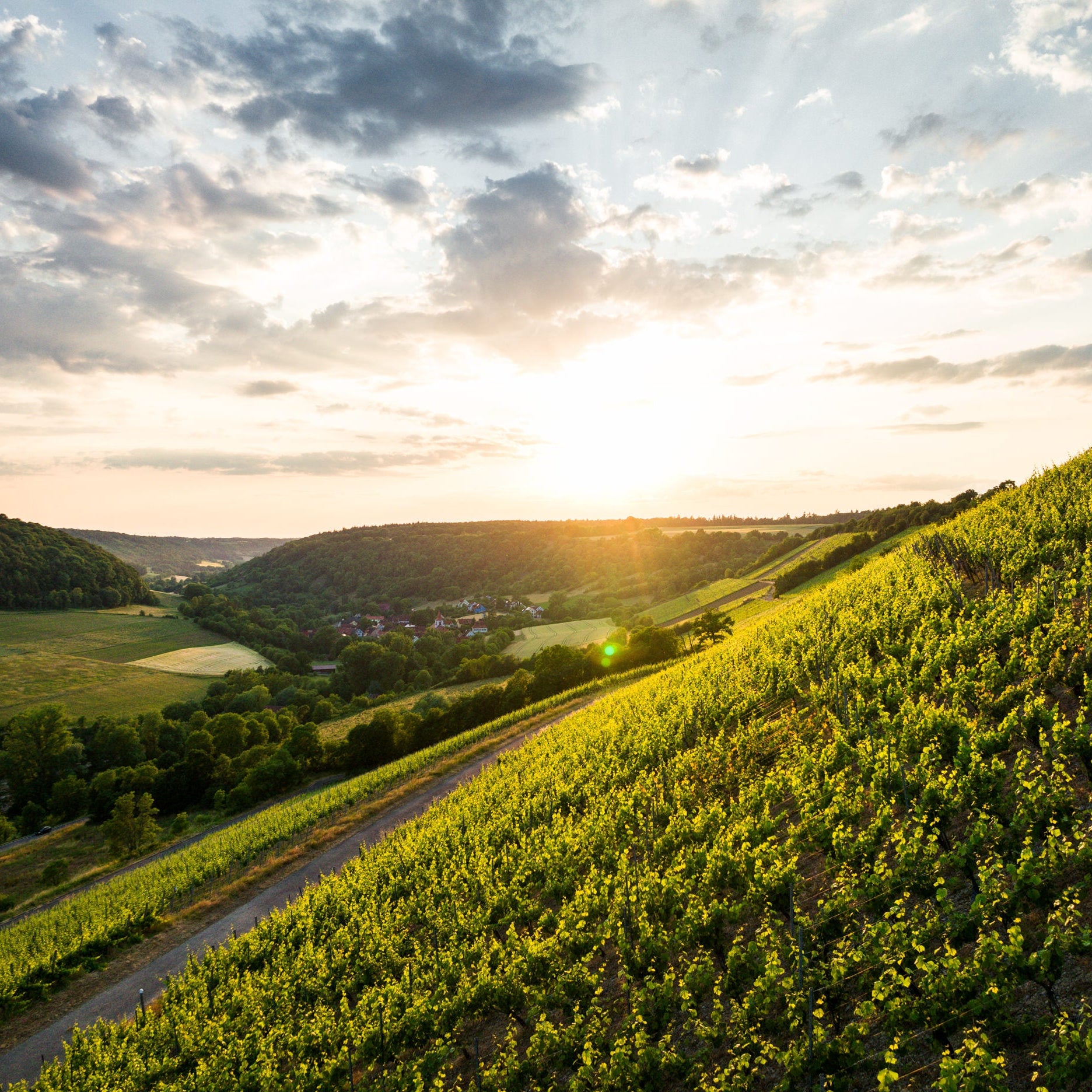 Unser täglich Brot - Alkoholfrei